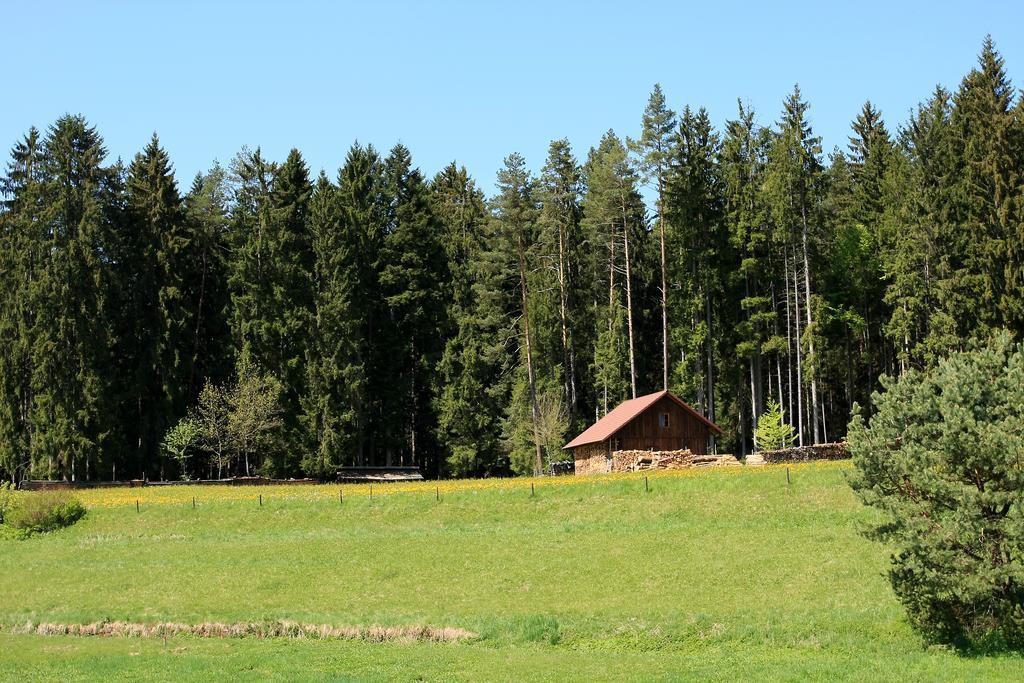 Gaestehaus Schmid-Lopez Bad Wildbad Exteriér fotografie